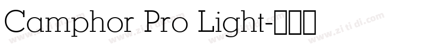 Camphor Pro Light字体转换